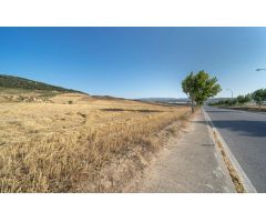 MÁGNIFICA FINCA RÚSTICA
