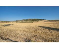 MÁGNIFICA FINCA RÚSTICA