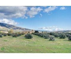 ¡OPORTUNIDAD ÚNICA! PARCELA URBANA EN MARCHENA – DÚRCAL (GRANADA)
