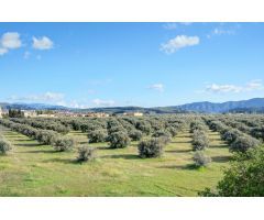 ¡OPORTUNIDAD ÚNICA! PARCELA URBANA EN MARCHENA – DÚRCAL (GRANADA)