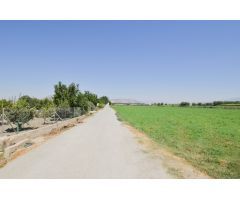 FINCA RUSTICA DE RIEGO EN BELICENA