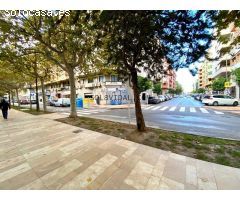 LOCAL COMERCIAL EN ESQUINA EN LA AVENIDA TEODOMIRO CON 194 M2