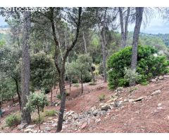 Parcela en Castellnou de Bages