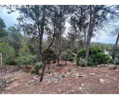 Parcela en Castellnou de Bages
