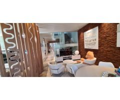 ESPECTACULAR CHALET CIUTAT JARDI