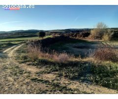 Se vende olivar a 3 km de Tortoles