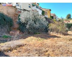 Se vende huerto en San Miguel
