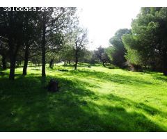 ¡¡ Atención !! Chalet independiente de una planta en finca de 4.000 M2 + otra finca de 4.000 M2.
