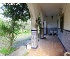 ¡¡ Atención !! Chalet independiente de una planta en finca de 4.000 M2 + otra finca de 4.000 M2.
