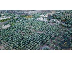 Finca rustica en Venta en Canjáyar, Almería