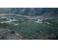 Finca rustica en Venta en Canjáyar, Almería