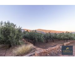 Finca rustica en Venta en Canjáyar, Almería