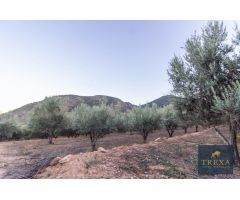 Finca rustica en Venta en Canjáyar, Almería