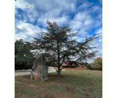 Terreno urbanizable en Mas Ferrer - Begues.