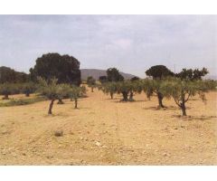 Terreno rural en Venta en Casas Abiar, Alicante