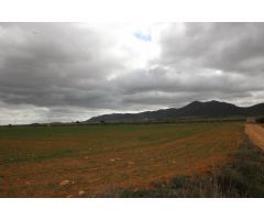Terreno rural en Venta en Casas Abiar, Alicante