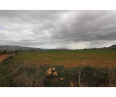 Terreno rural en Venta en Casas Abiar, Alicante