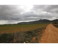 Terreno rural en Venta en Casas Abiar, Alicante