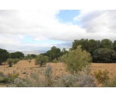 Terreno rural en Venta en Casas Abiar, Alicante