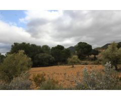 Terreno rural en Venta en Casas Abiar, Alicante