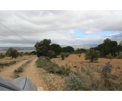 Terreno rural en Venta en Casas Abiar, Alicante