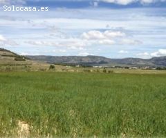 Terreno rural en Venta en Casas Abiar, Alicante