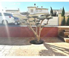 Chalet en Venta en Monforte del Cid, Alicante