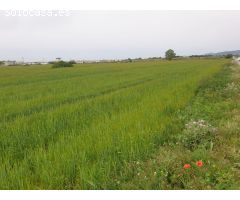 Venta Plan Parcial en Vilafranca del Penedes.