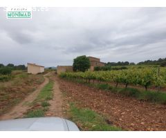 Finca Rústica en el Pla de Santa María de 37,5 Ha. con Masía