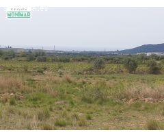 En venta Finca Rústica en Sant Jaume dels Domenys.