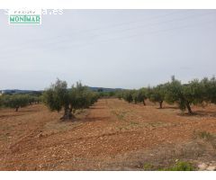 En venta Finca Rústica en Sant Jaume dels Domenys.