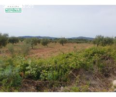 En venta Finca Rústica en Sant Jaume dels Domenys.