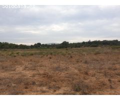 TERRENO AGRICOLA EN VENTA EN VILANOVA I LA GELTRU DE 24.685 m2