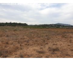 TERRENO AGRICOLA EN VENTA EN VILANOVA I LA GELTRU DE 24.685 m2