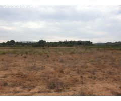 TERRENO AGRICOLA EN VENTA EN VILANOVA I LA GELTRU DE 24.685 m2