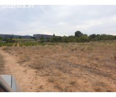 TERRENO AGRICOLA EN VENTA EN VILANOVA I LA GELTRU DE 24.685 m2