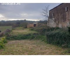 EN VENTA FINCA RÚSTICA EN BELPRAT DE 106 Ha.