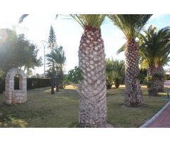 INCREIBLE CHALET EN VENTA EN ELCHE