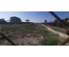 Terreno rural en Elche, 12000 m2