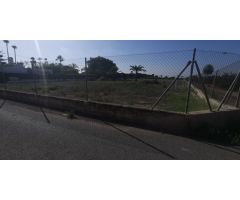 Terreno rural en Elche, 12000 m2