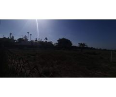 Terreno rural en Elche, 12000 m2