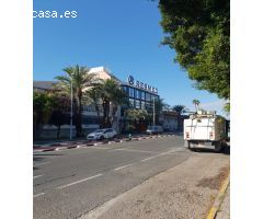 Oficinas en alquiler en Elche, gran superficie.