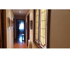Estupendo piso en venta en Elche, con vistas al palmeral