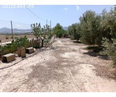 Se vende finca en Huércal-Overa, El Saltador!!!!
