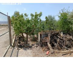 Se vende finca en Huércal-Overa, El Saltador!!!!