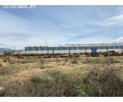 SOLAR URBANO INDUSTRIAL ZONA DE LA CATALANA CON 482M² DE SUPERFICIE.
