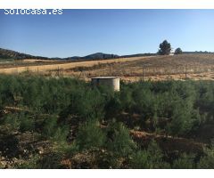 FANTÁSTICA CASA RURAL CON 336M2 EN ZONA DE MONTEFRIO. MUY BUENA ILUMINACIÓN Y DISTRIBUCIÓN.