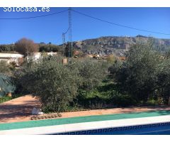 VENTA DE FINCA RÚSTICA CON 32.700M2 DE SUPERFICIE CON OLIVOS, CASA Y PISCINA EN MORALEDA DE ZAFAYONA