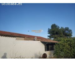 SE VENDE FINCA ,CON NAVE LINDANDO AL POLIG.TORRELLANO!!