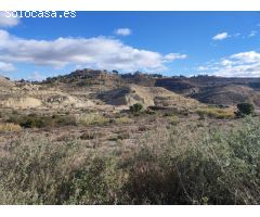 SE VENDE PARCELA DE 15.000MTR2 ZONA ASPE